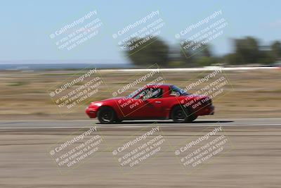 media/Oct-04-2025-OnGrid (Sat) [[44bd565ffa]]/Green Group/Grapevine/